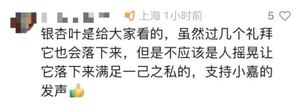 太坍台！他们竟对上海人的“老宝贝”出手了，园方紧急行动