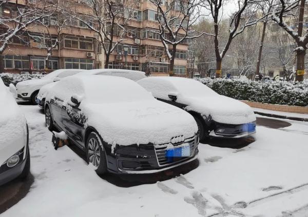 一大波雪景美图来袭 你的城市下雪了吗? 一大波雪景美图来袭 你的城市下雪了吗?