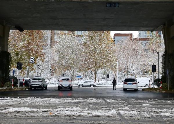 沉浸式体验河南大雪！郑州宛如童话世界、开封成了汴京……