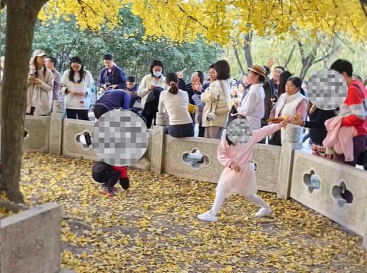 太坍台！他们竟对上海人的“老宝贝”出手了，园方紧急行动