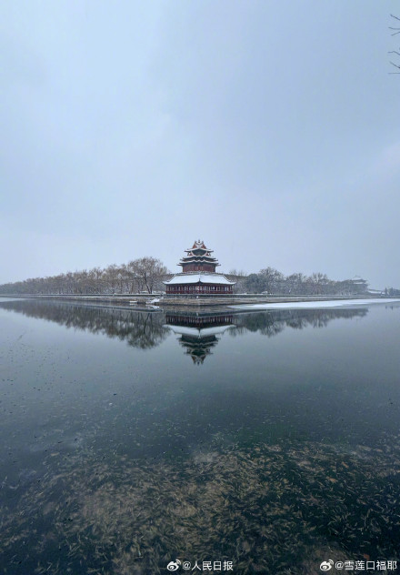 下雪天随手一拍就是风景 下雪天随手一拍就是风景