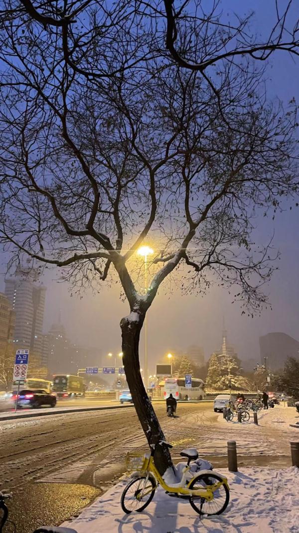 北京，下雪啦！