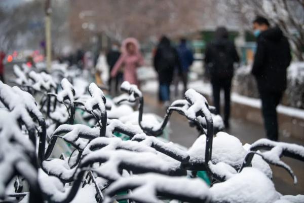 停课、停运，多地紧急通知！冷空气中午到上海，周末暴跌10℃