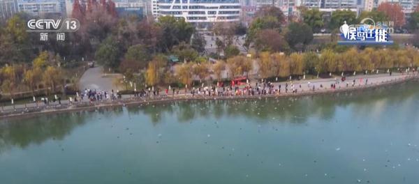 湿地生态持续向好 共赏候鸟云集、万鸟齐飞盛景
