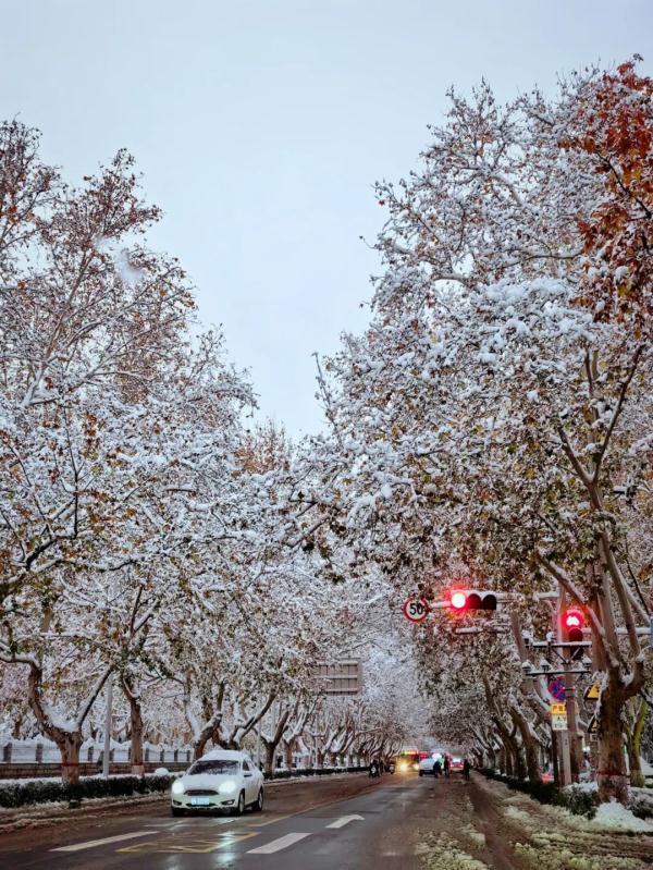 停课、停运，多地紧急通知！冷空气中午到上海，周末暴跌10℃