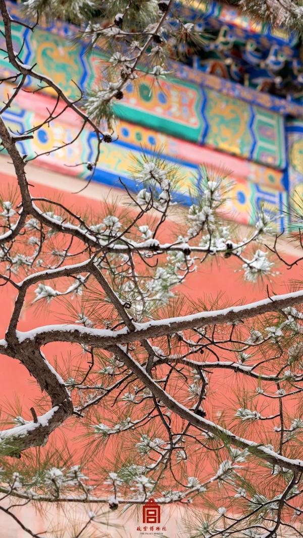 久等了！故宫雪景高清大图，来了