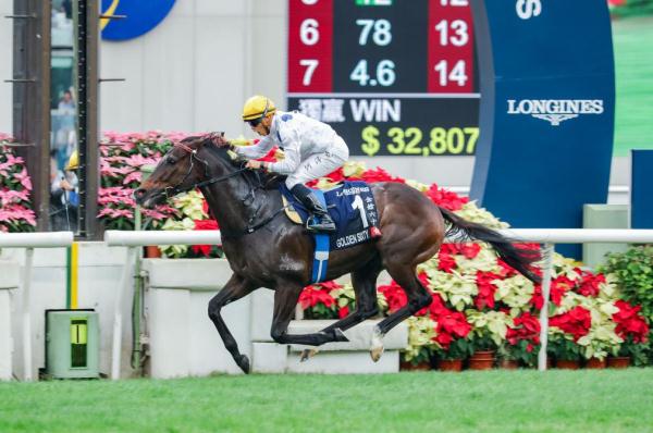 香港国际赛马沙田开跑 入场人数创5年新高