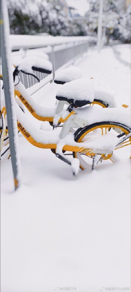 郑州的雪到底有多大