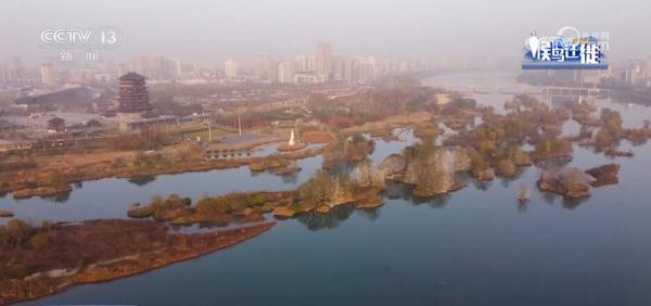 湿地生态持续向好 共赏候鸟云集、万鸟齐飞盛景