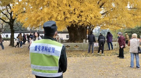太坍台！他们竟对上海人的“老宝贝”出手了，园方紧急行动