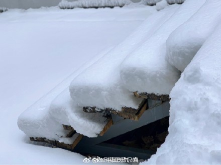 郑州的雪到底有多大