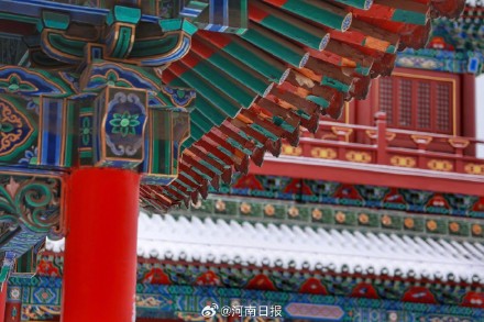 雪映红墙 雪后的郑州文庙也太美了