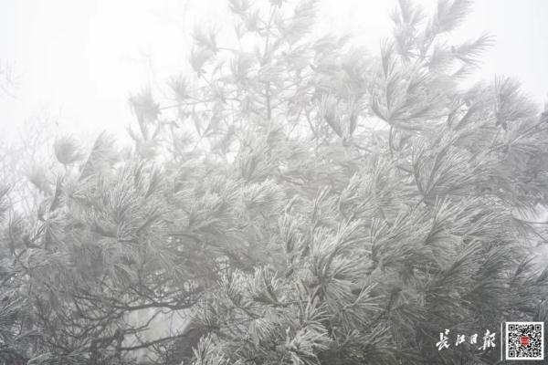 今天，武汉下雪啦！