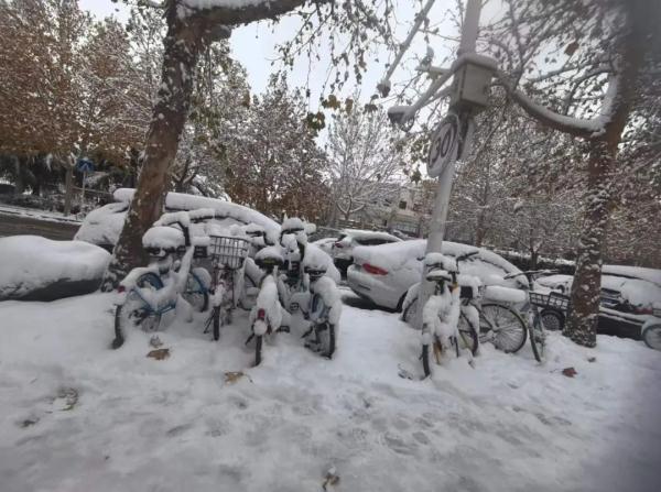 临时停课、多条高速禁行！河南部分地区发布暴雪红色预警