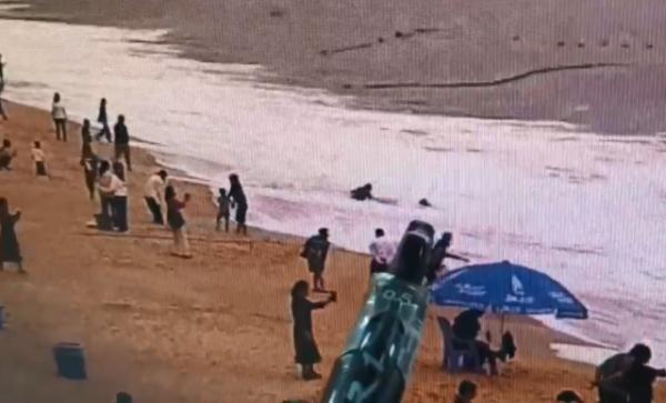 两女子海边拍照被回头浪卷走，紧急时刻…