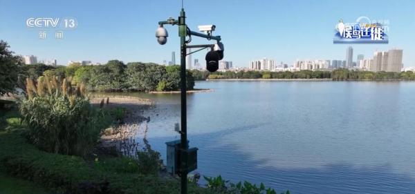 湿地生态持续向好 共赏候鸟云集、万鸟齐飞盛景