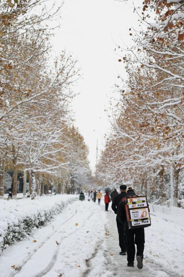 沉浸式体验河南大雪！郑州宛如童话世界、开封成了汴京……