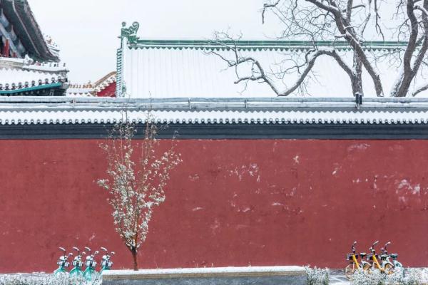 北京，下雪啦！