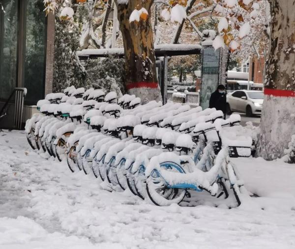 还有暴雪、大暴雪！明晨河南全省都将降到0℃以下