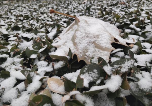 天津最大降雪出现在这！多趟列车停运！