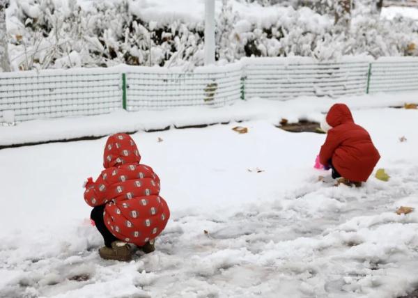 沉浸式体验河南大雪！郑州宛如童话世界、开封成了汴京……