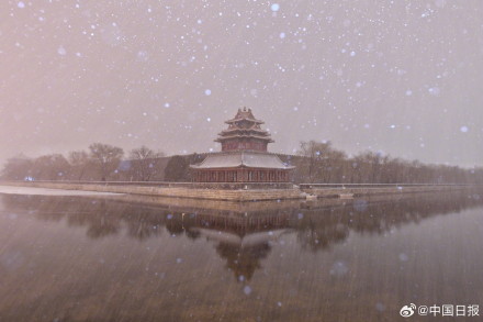 初雪下的故宫雪景