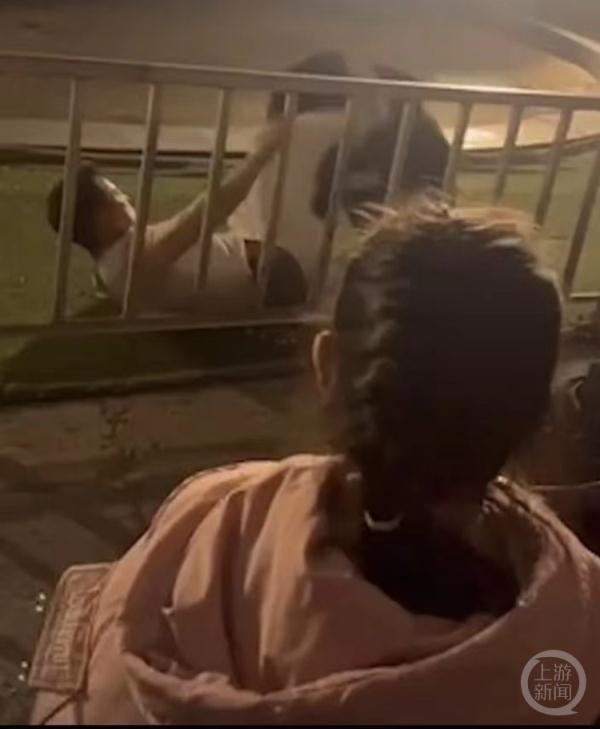 惊险！马戏团黑熊扑倒饲养员，最新回应来了