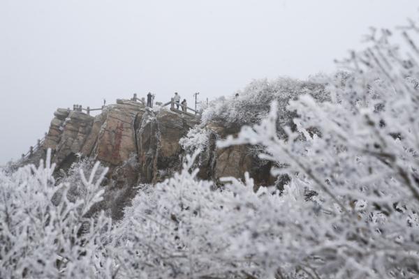 江苏这里下雪了! 江苏这里下雪了!