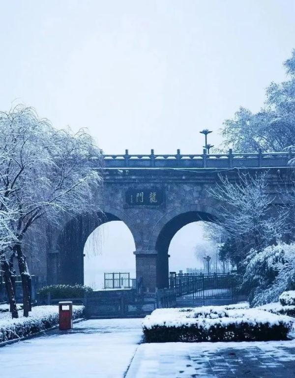 你那下雪了吗？朋友圈刷屏的不仅有雪景，还有……