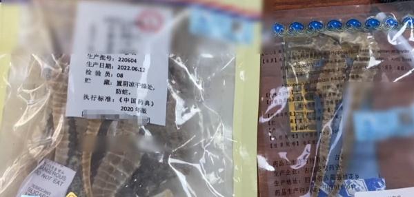 泡了2年药酒的海马，竟然是塑料……爱泡药酒的广东人注意！