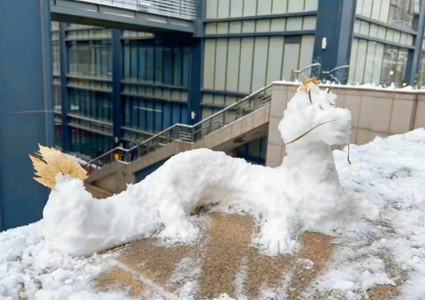凌晨2点在堆雪人，你看见我那南方舍友了吗？