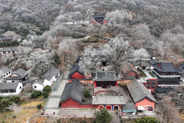 江苏这里下雪了! 江苏这里下雪了!