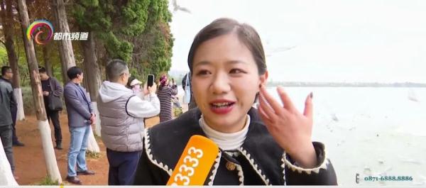 傍晚也可观鸥 昆明这个湿地今冬火了! 傍晚也可观鸥 昆明这个湿地今冬火了!