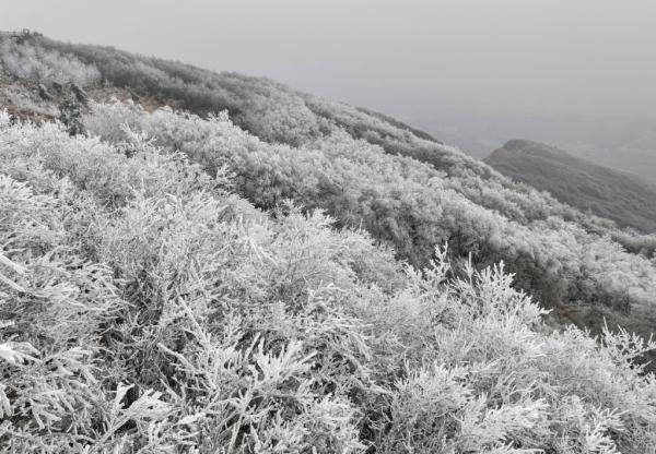 江苏这里下雪了! 江苏这里下雪了!