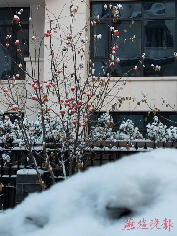 石家庄天气：强降雪+强降温，明天开启！