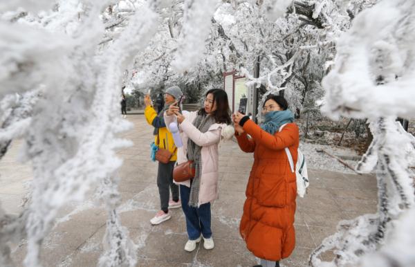江苏这里下雪了! 江苏这里下雪了!