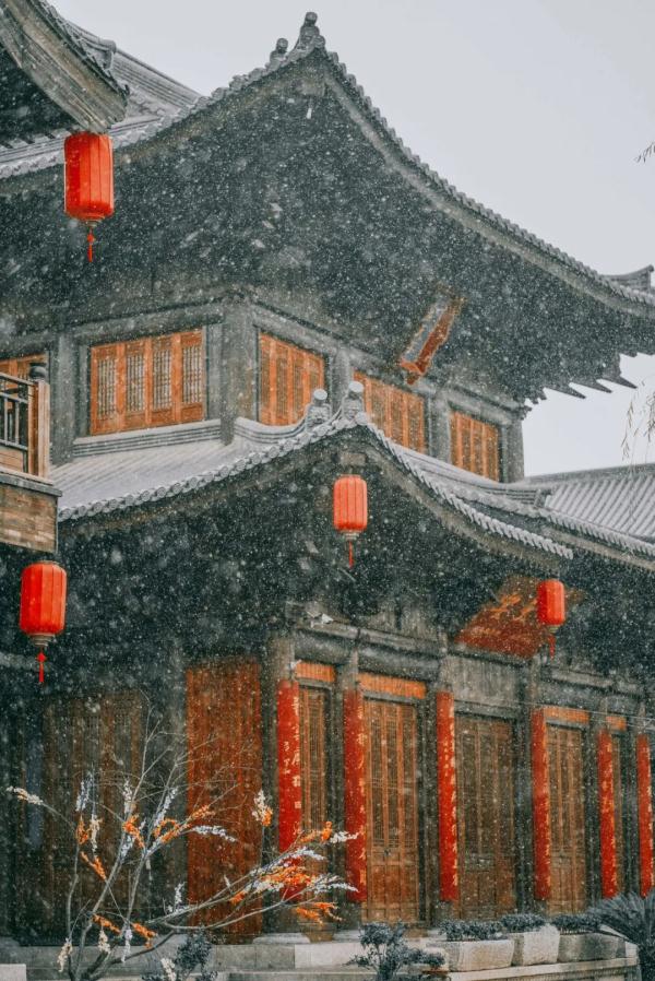 你那下雪了吗？朋友圈刷屏的不仅有雪景，还有……