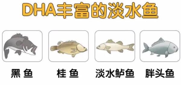 富硒蛋、虾青素蛋……“功能鸡蛋”真有那么神？