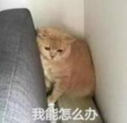 42岁男子突然“尿床”,竟跟打呼噜有关!这种病可能引发猝死→ 42岁男子突然“尿床”,竟跟打呼噜有关!这种病可能引发猝死→