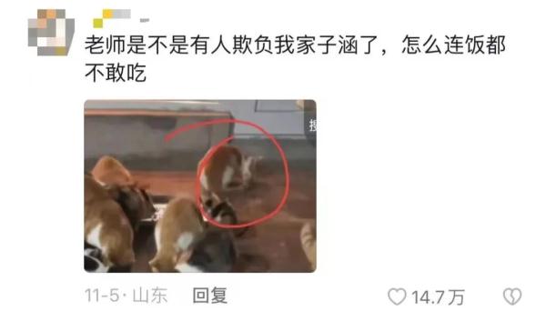 “我家子涵”是谁？网友：你猜我为什么不笑