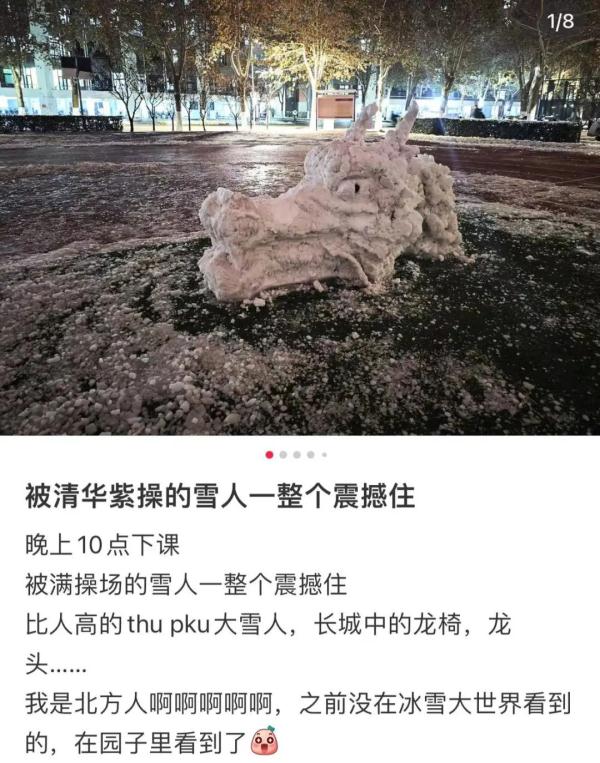 凌晨2点在堆雪人，你看见我那南方舍友了吗？
