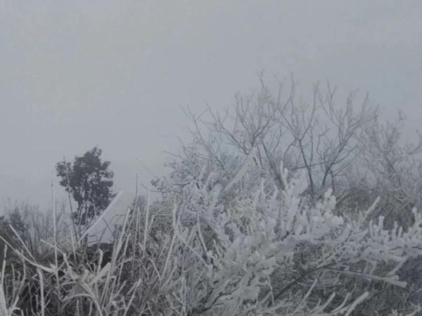 武汉落了今冬第一场雪！重要提醒来了→