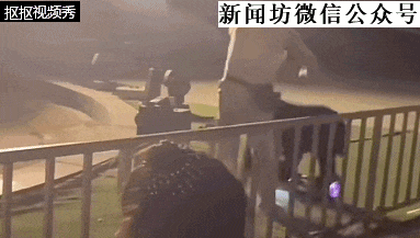 惊险！马戏团黑熊咬住驯兽师！或因观众把这东西掉地上...