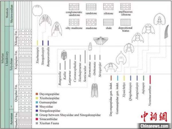 华南首次发现4.38亿年前西域鱼 &nbsp;实证与塔里木板块交流密切