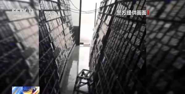一人注册14万账号，倒卖产品获利数十万！起底“薅羊毛”黑灰产