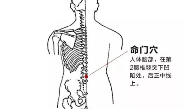 广东或迎“断崖式”降温！驱寒调补中医有妙招→