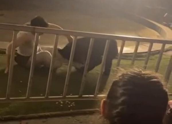 惊险！马戏团黑熊咬住驯兽师！或因观众把这东西掉地上...