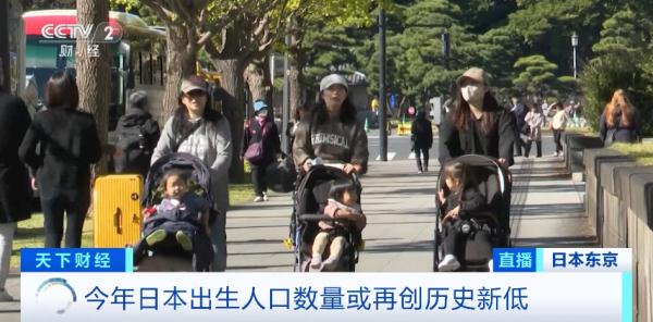 日本少子化问题加剧，当地政府当“红娘”免费帮年轻人相亲