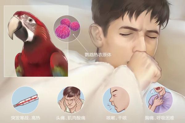 女子突然烧到40℃，不是感冒、甲流！元凶没想到是……