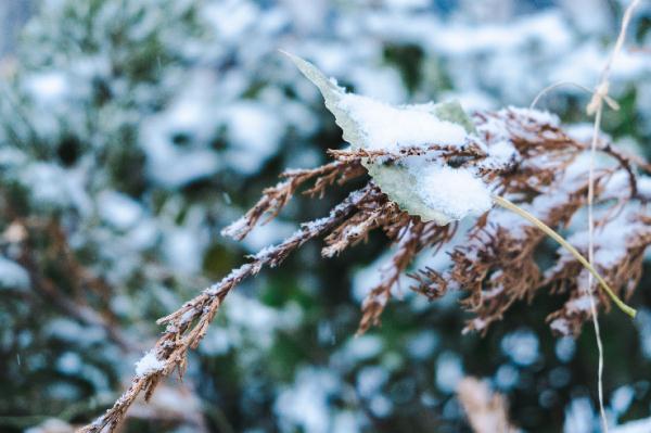 天气 | 最大降雪在这！天津高速、公交、铁路、景区最新信息→